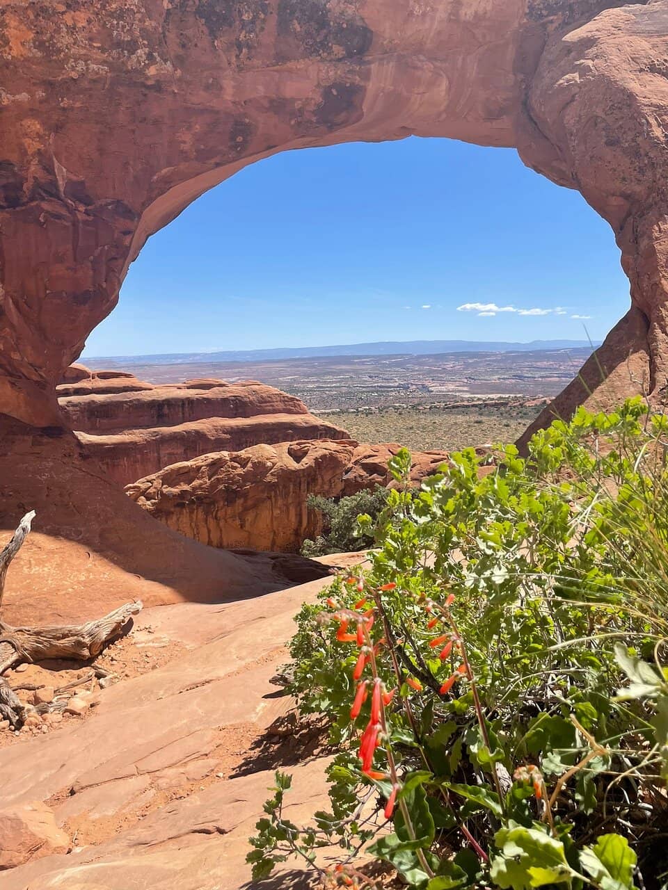 Primitive Trail Loop