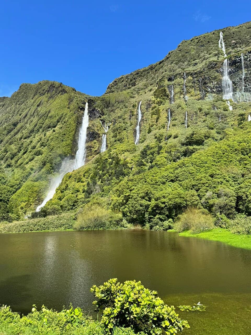 The Serene Lagoon