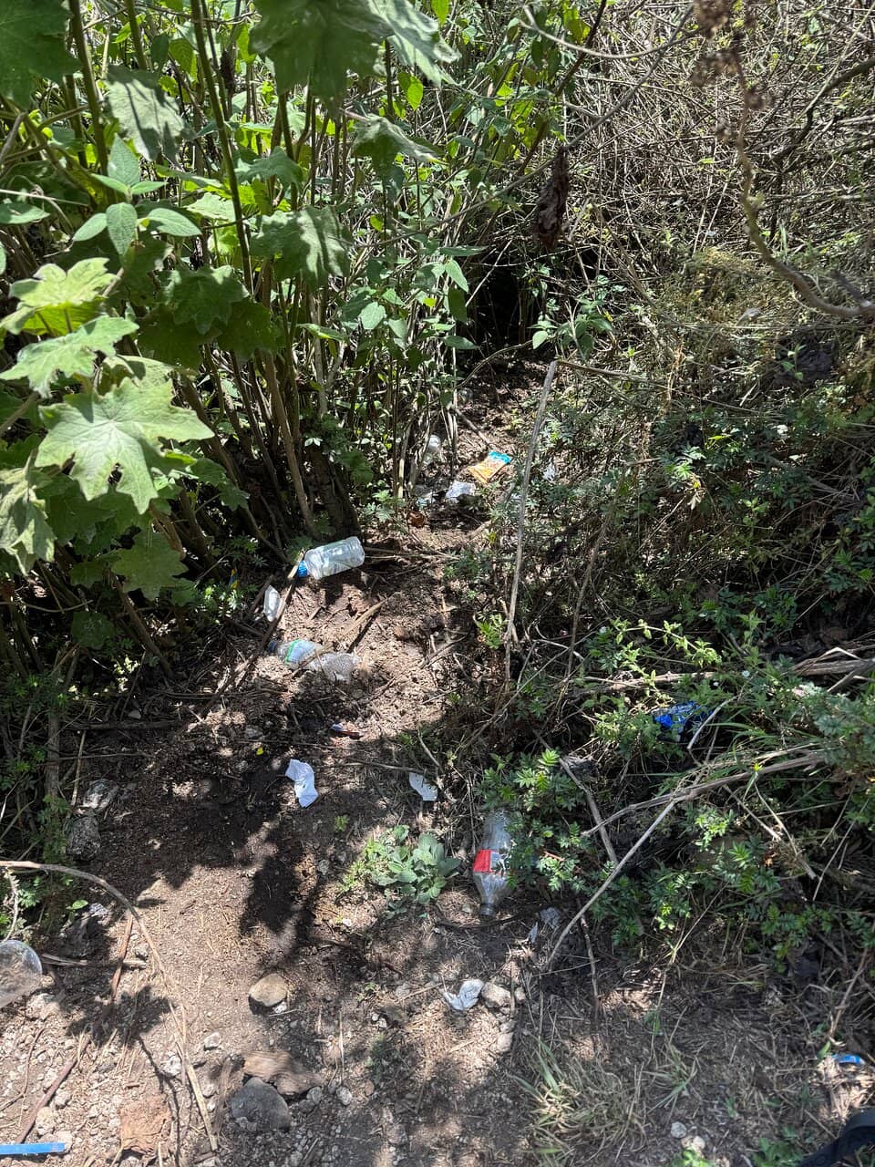 Santiaguito Volcano Activity