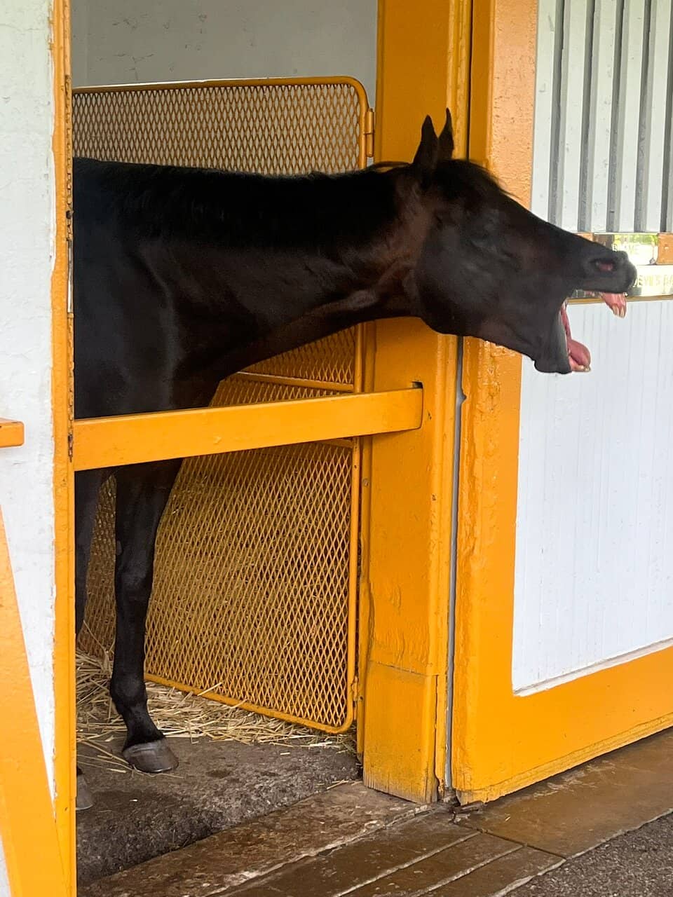 Historic Farm Grounds