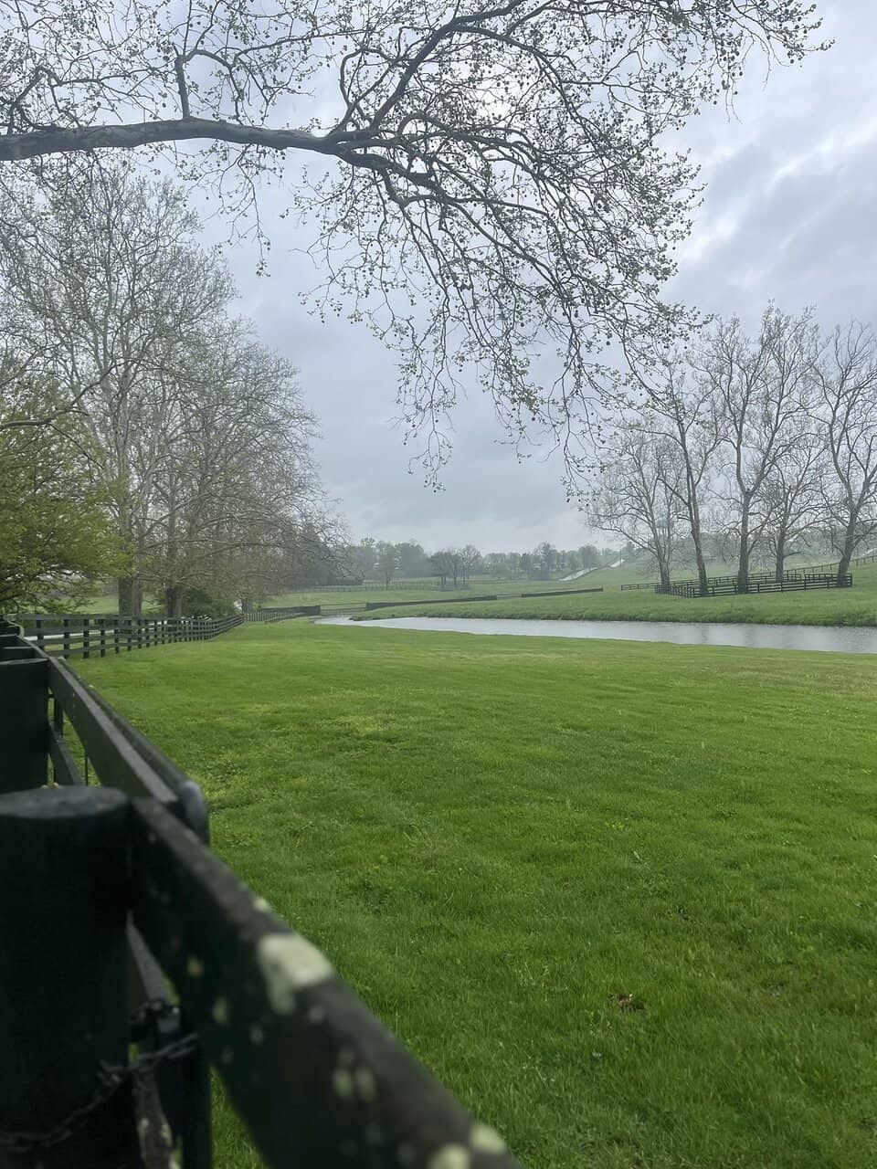 Elite Thoroughbred Stallions