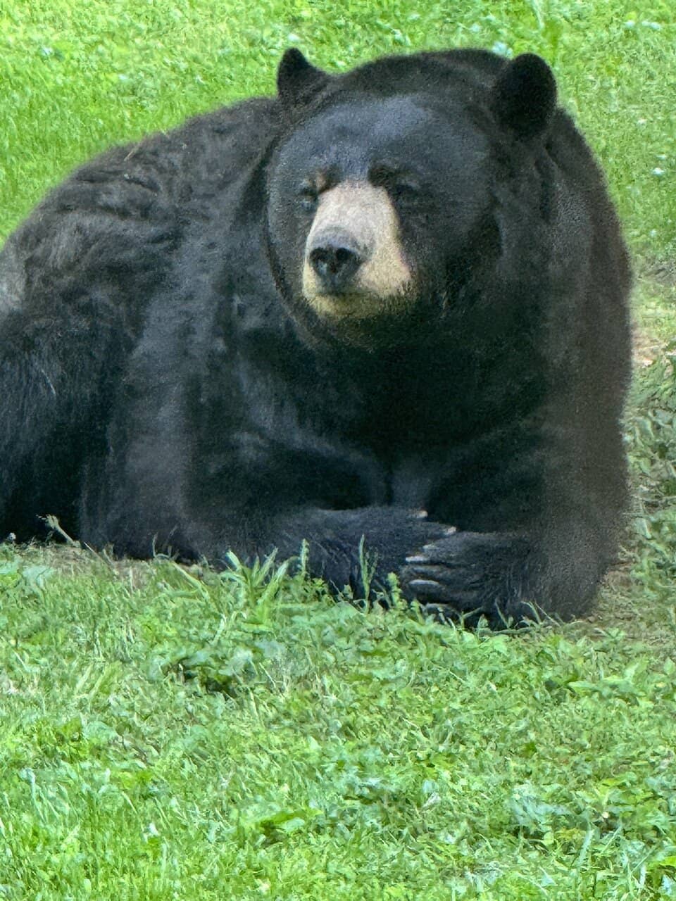 Healthy Hunting Grounds Exhibit