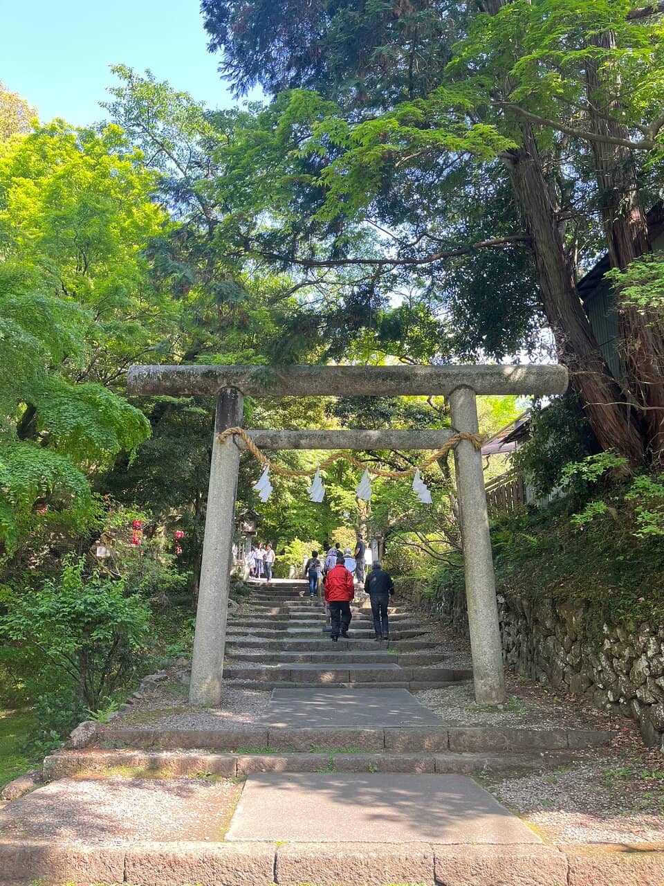 Vertical photo