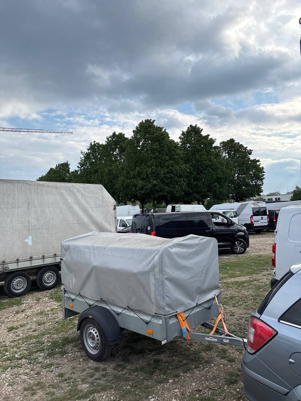 Career & Education Focus