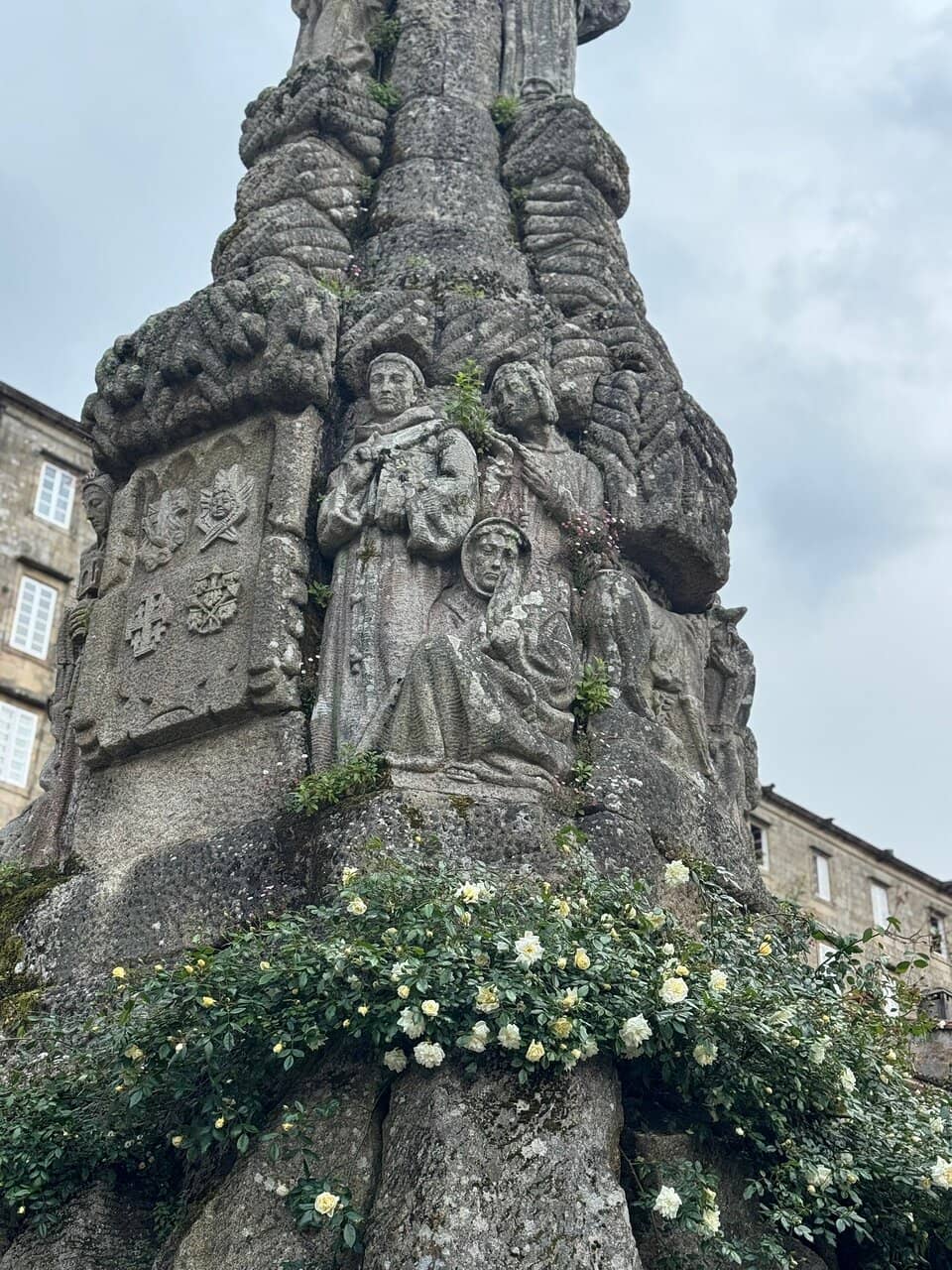 Vertical photo