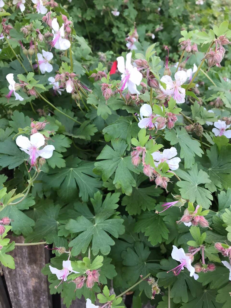 Picnic & Relaxation Spots