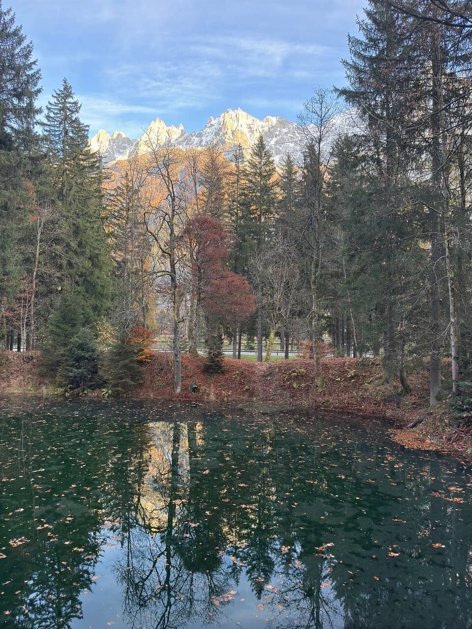 Reflections of Mont Blanc