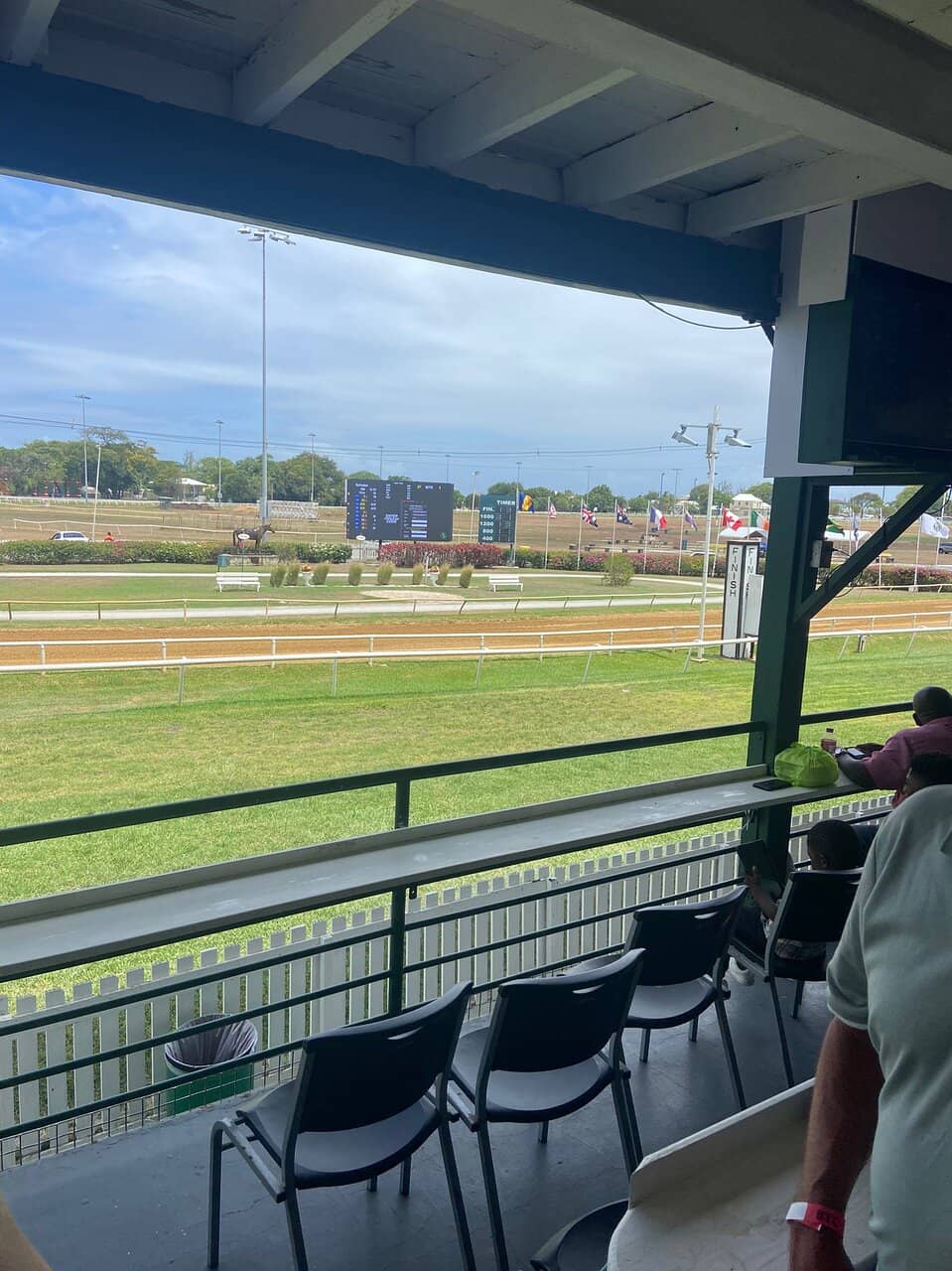 Horses Bathing at Pebbles Beach