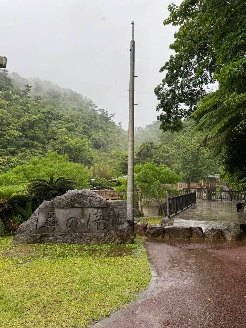 Cultural Significance