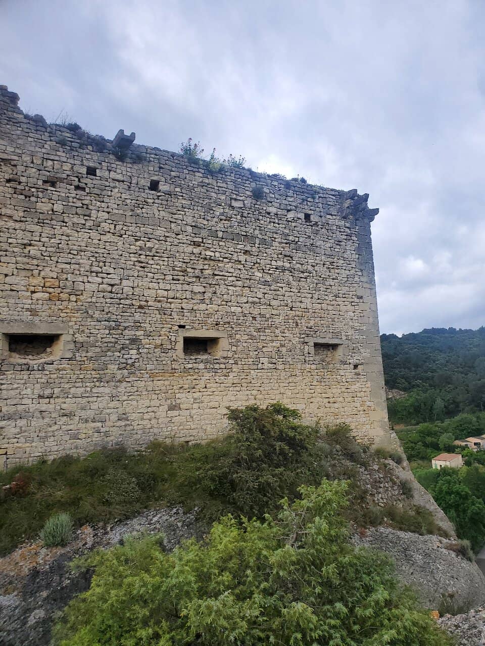 Vertical photo