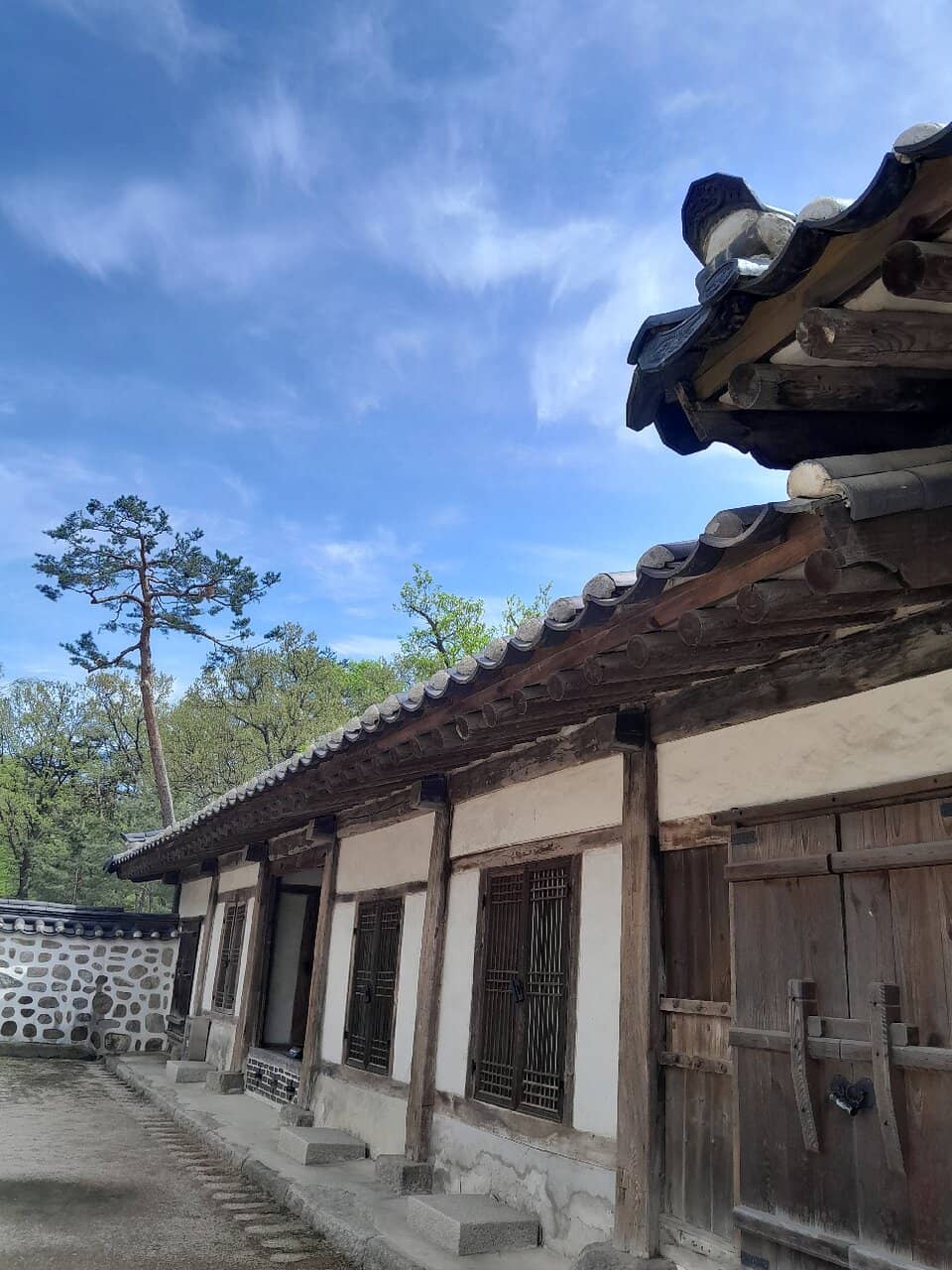 Peaceful Walking Experience