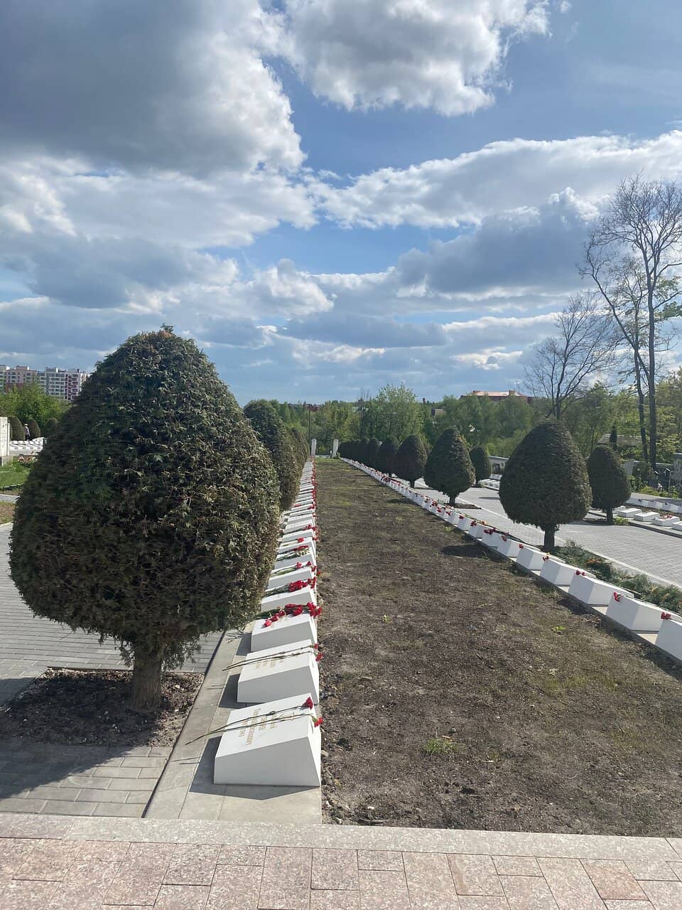 Hidden Spring and Pond
