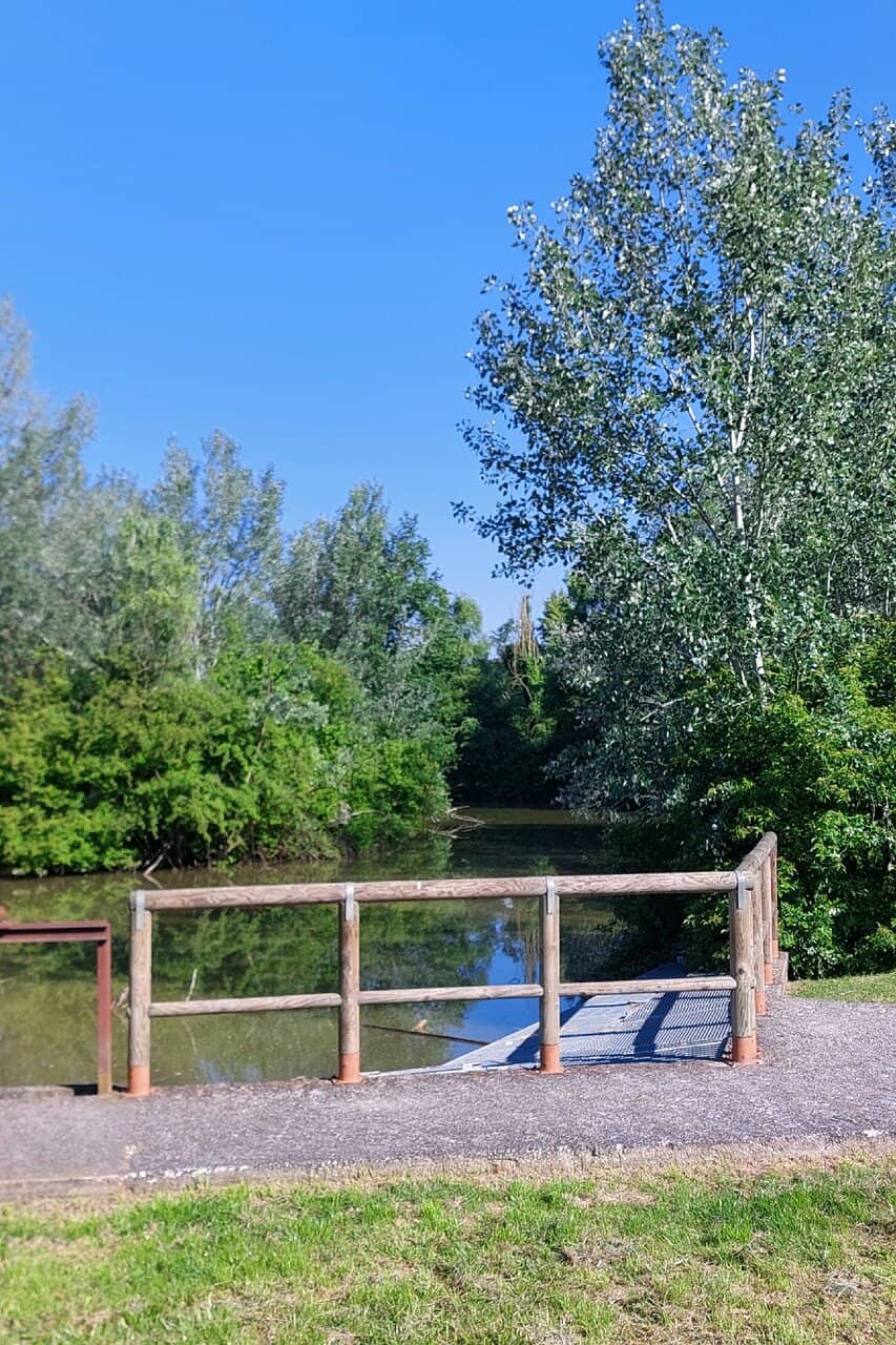 Scenic Walking Paths