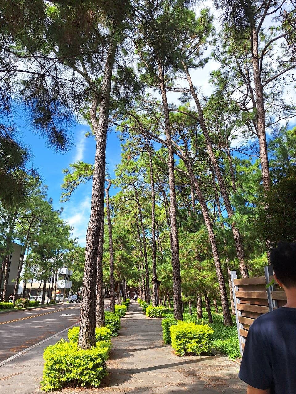 Peaceful Campus Surroundings