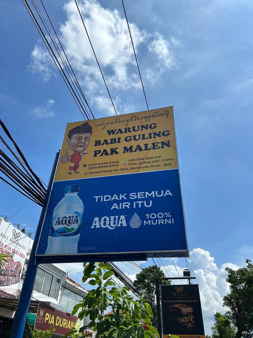 Crispy Pork Skin Delight