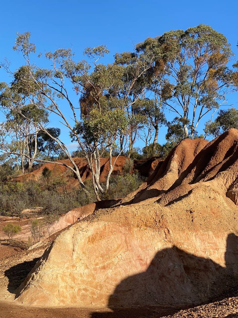 Historical Gold Mining Scars