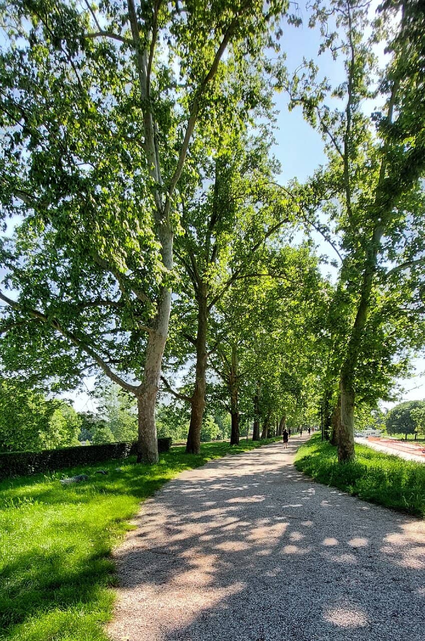 Shaded Embankments