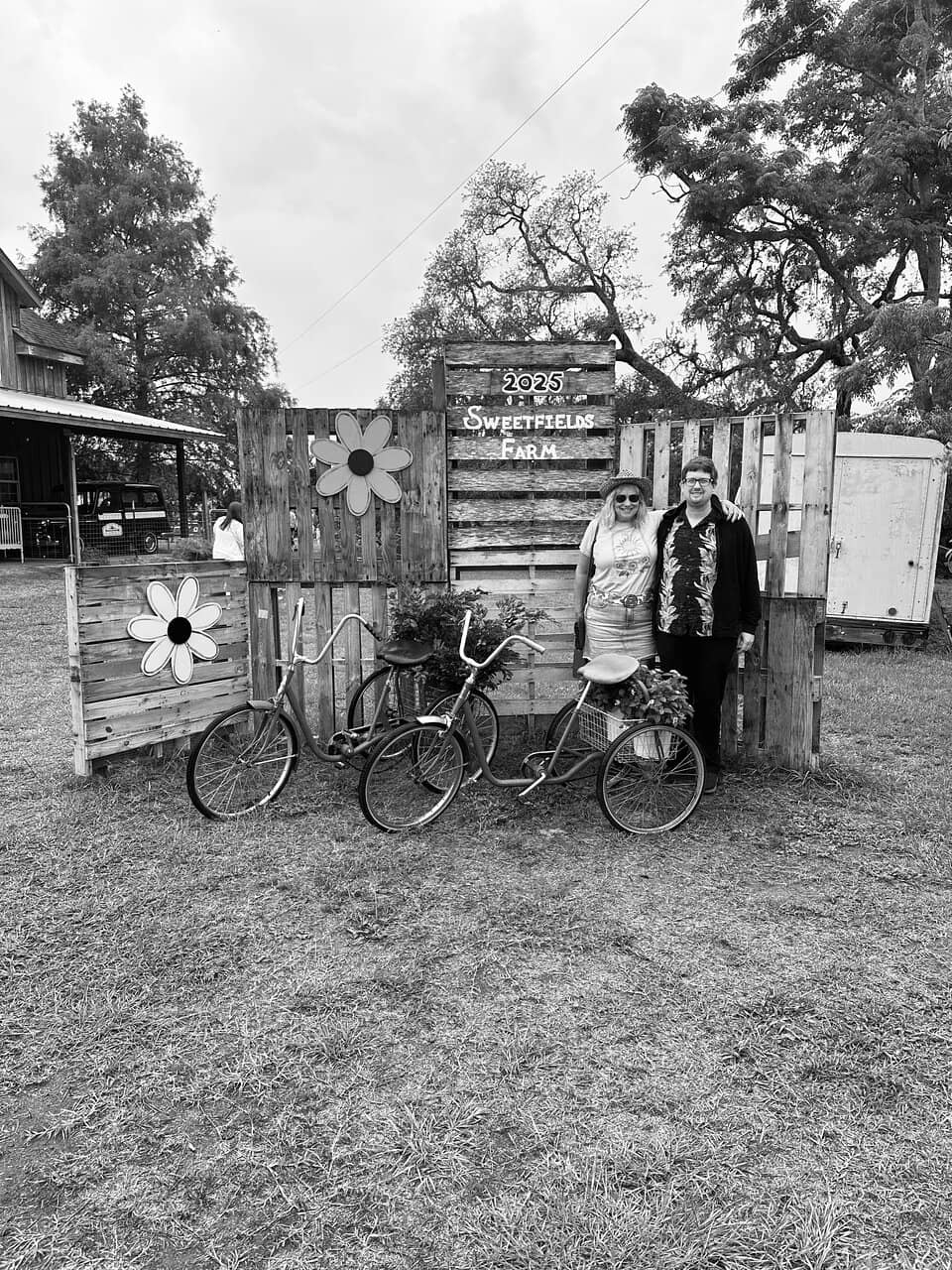 Freshly Pressed Cider