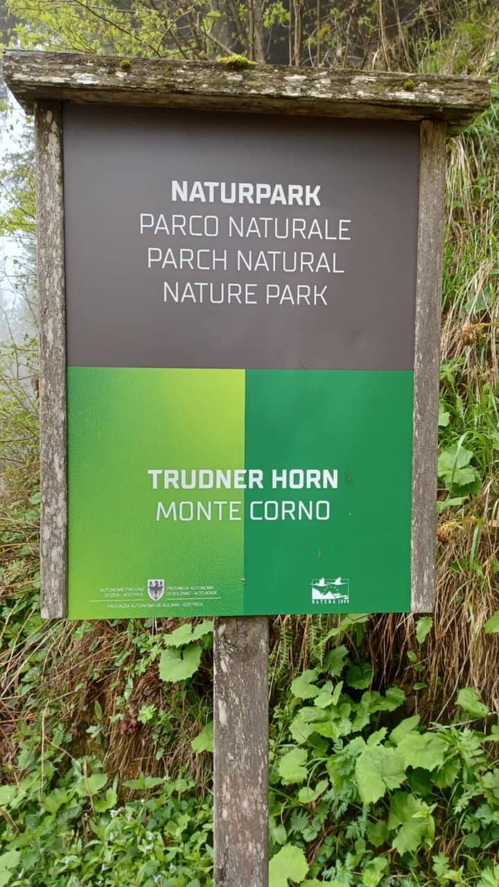 Wildlife Encounters