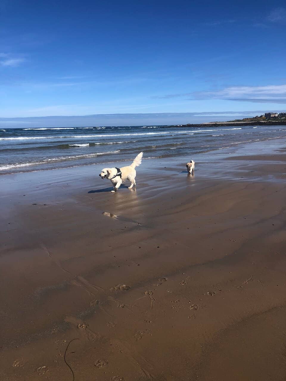 Dune Exploration