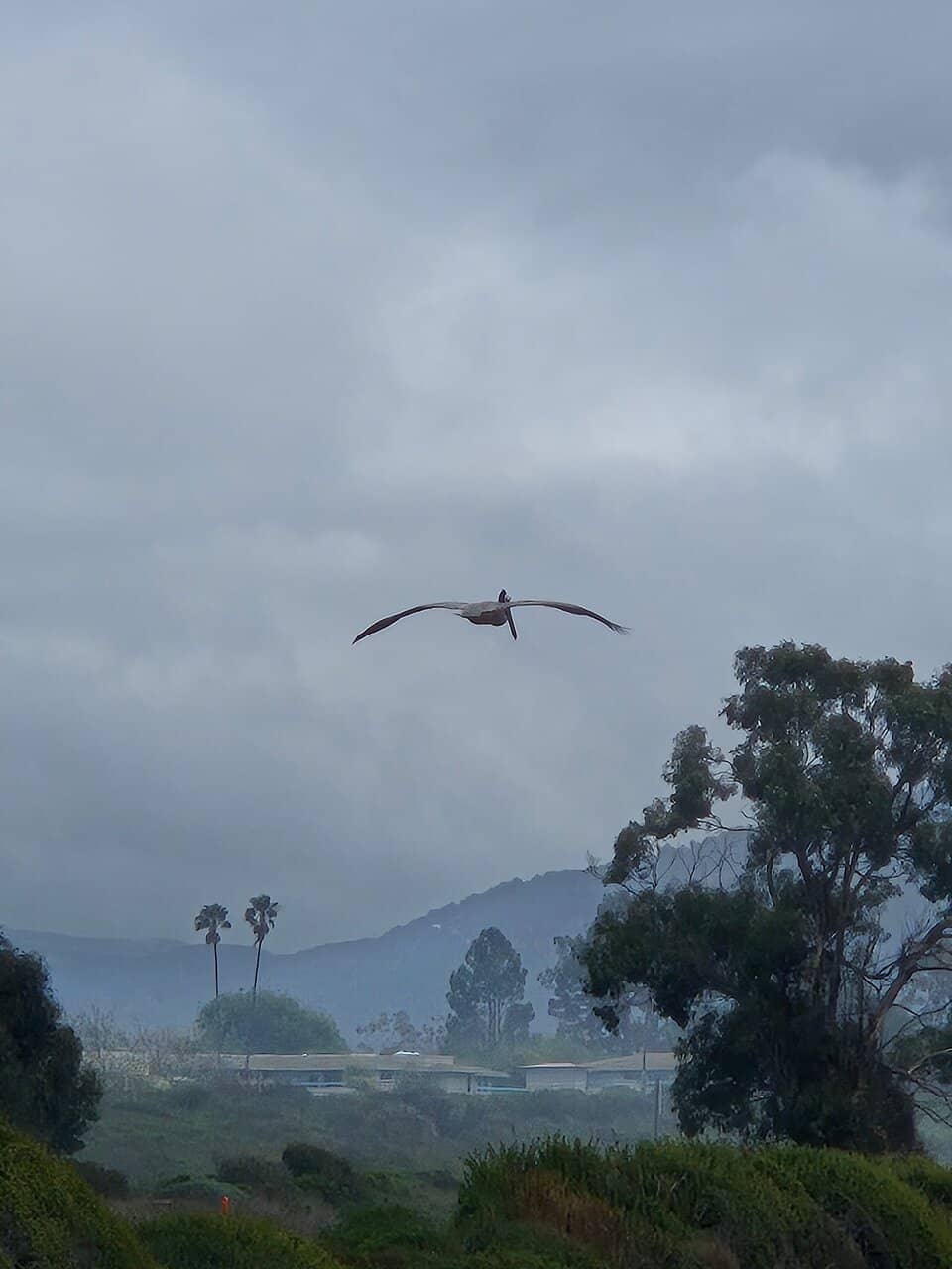 Carpinteria Bluffs Trail