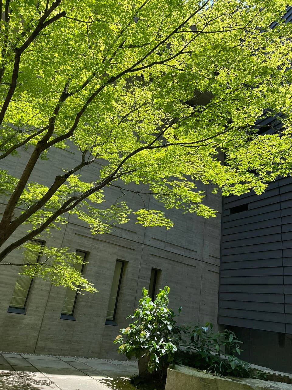 Modern Campus Ambiance