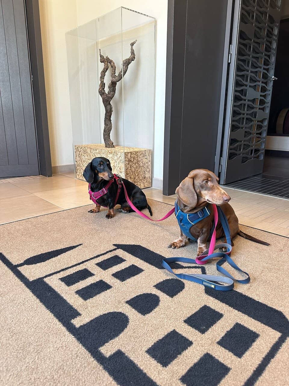 Special Edition Rosé Bottles