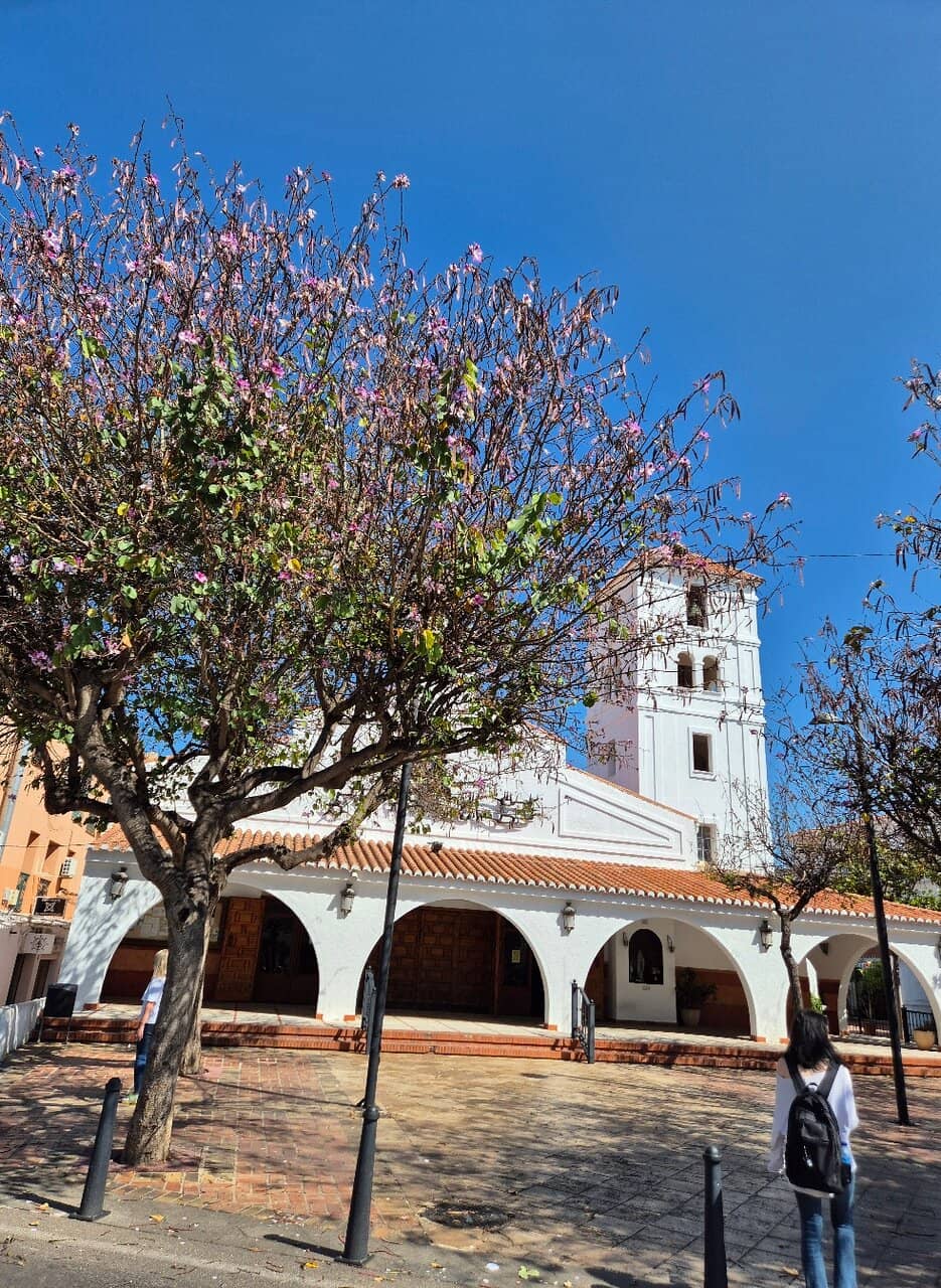 Architectural Beauty