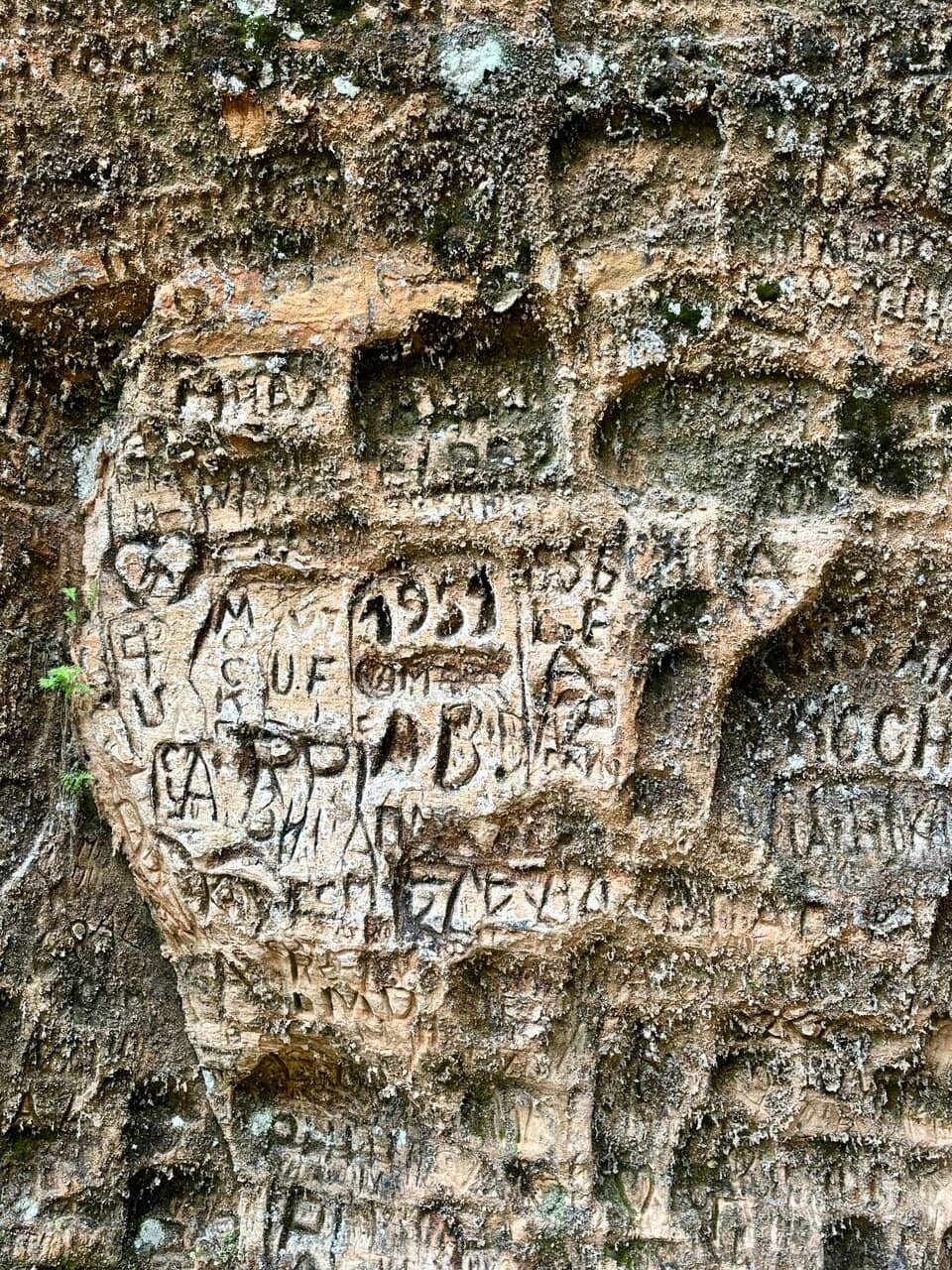 Surrounding Nature Trails