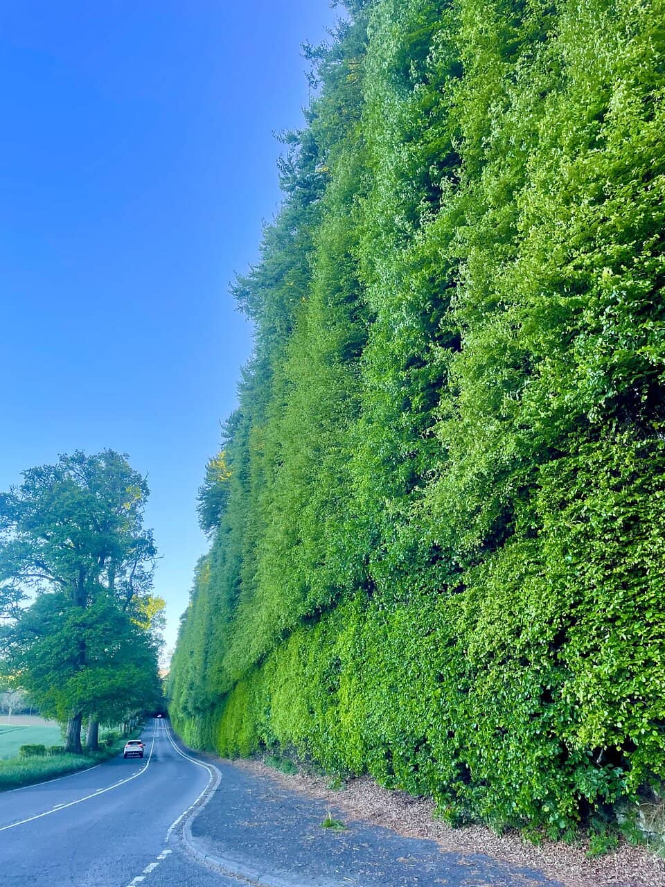 Vertical photo
