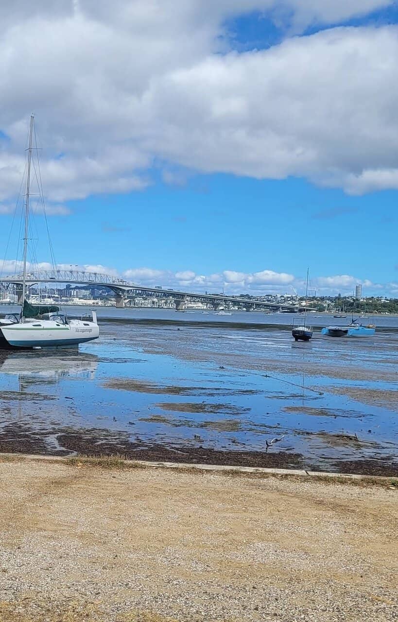 Family-Friendly Playground