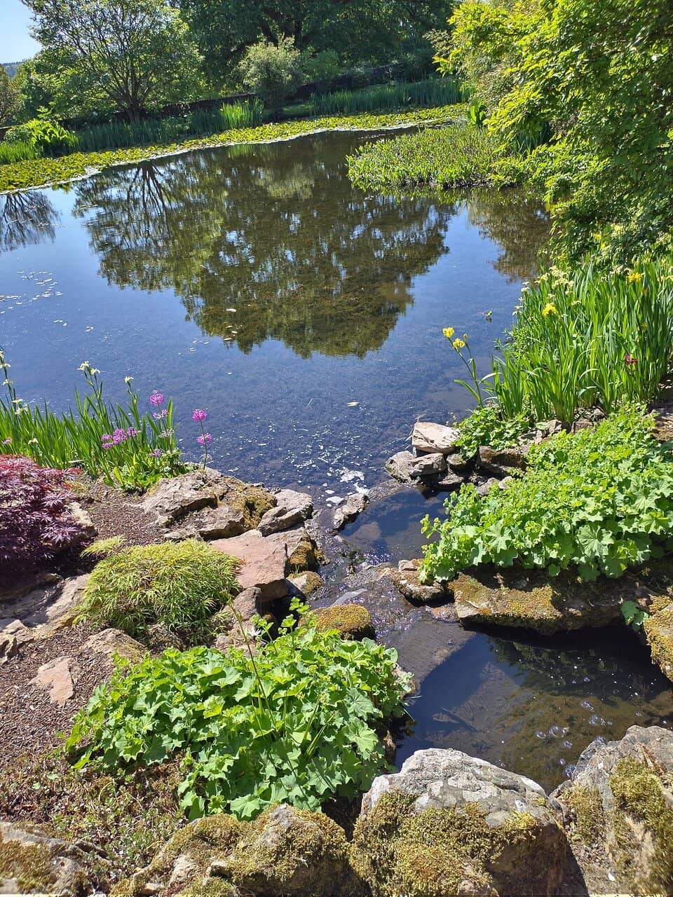 Delicious Tearoom Fare