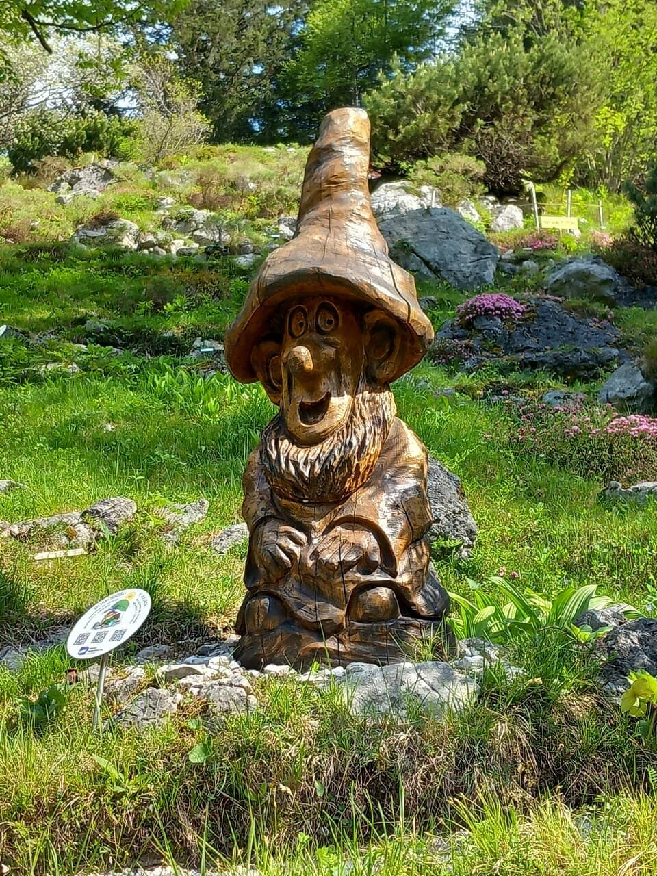 Slovenian Flora Showcase