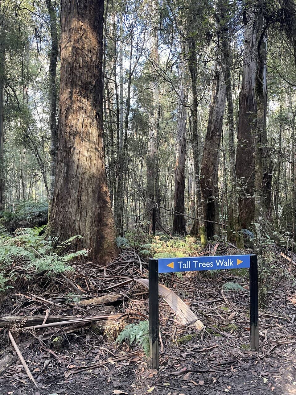 Vertical photo