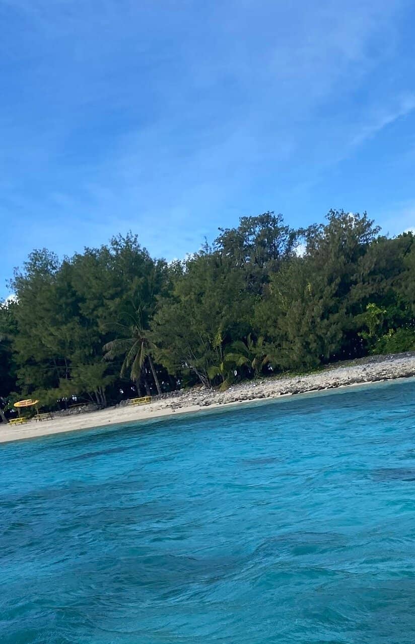 Snorkeling & Marine Life