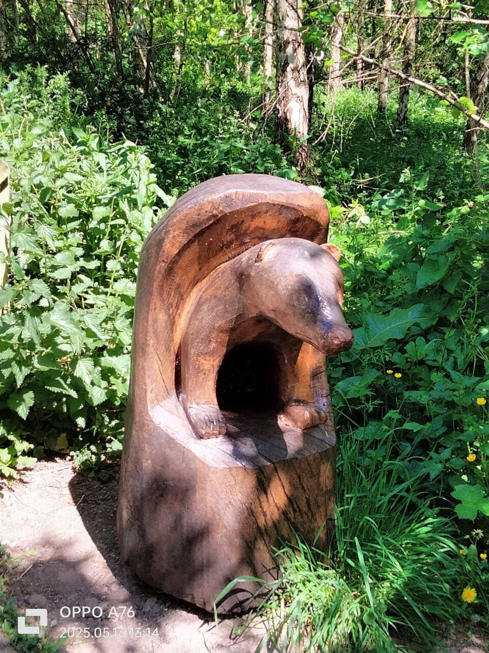 Children's Play Area