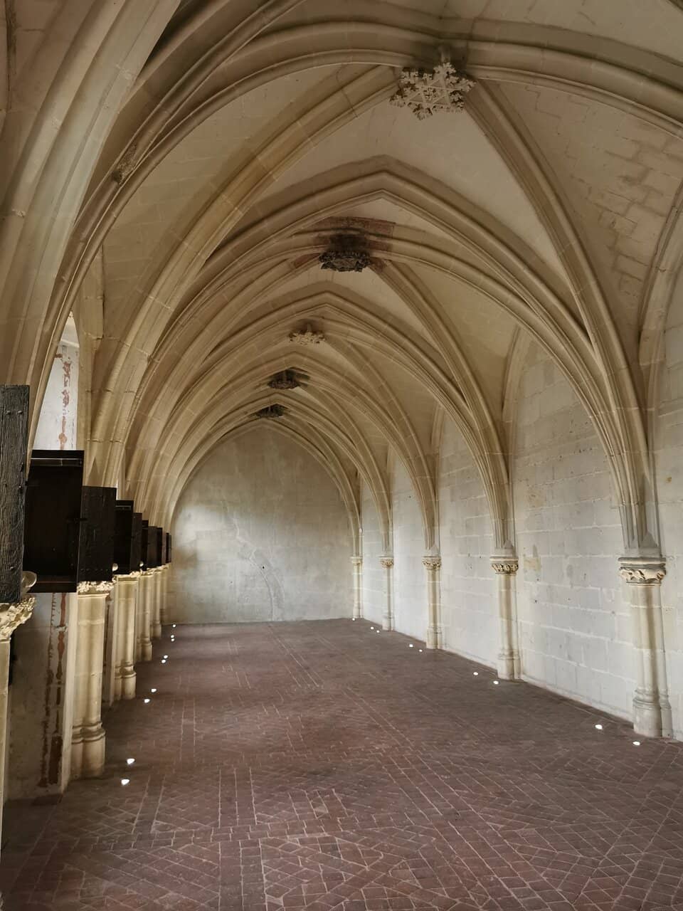 Cathedral Views