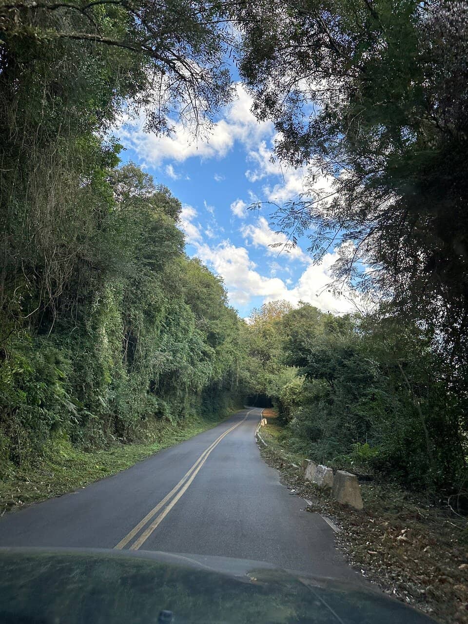 Vertical photo