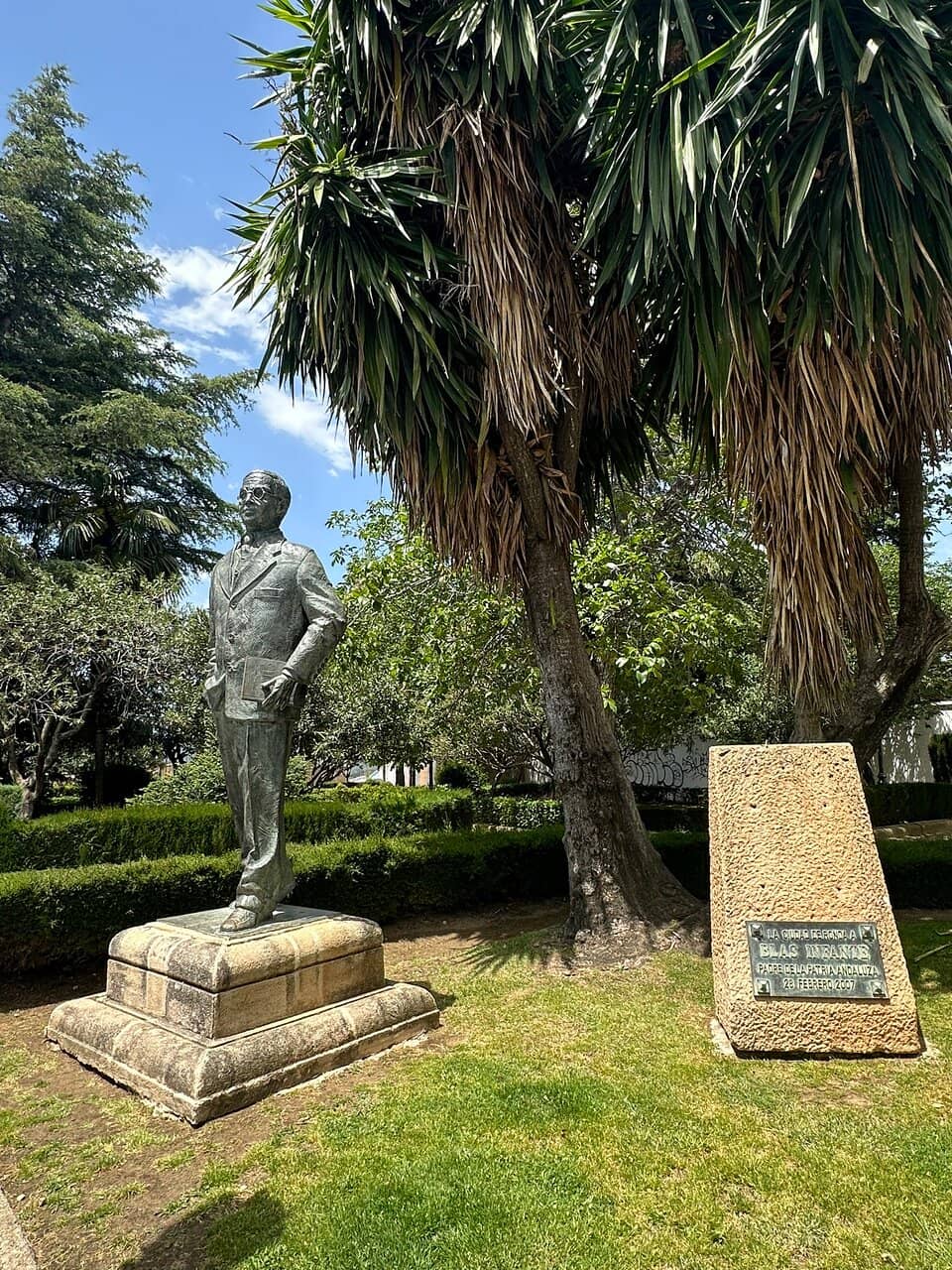 Tranquil Garden Setting