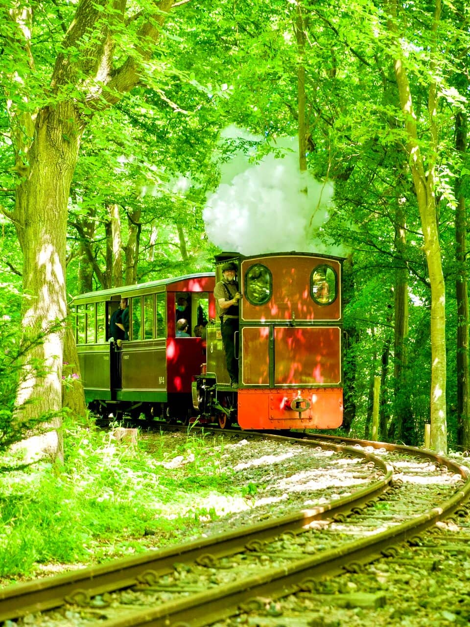 Woodland Trails