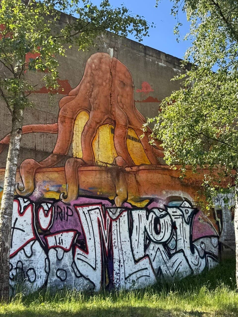 Vertical photo