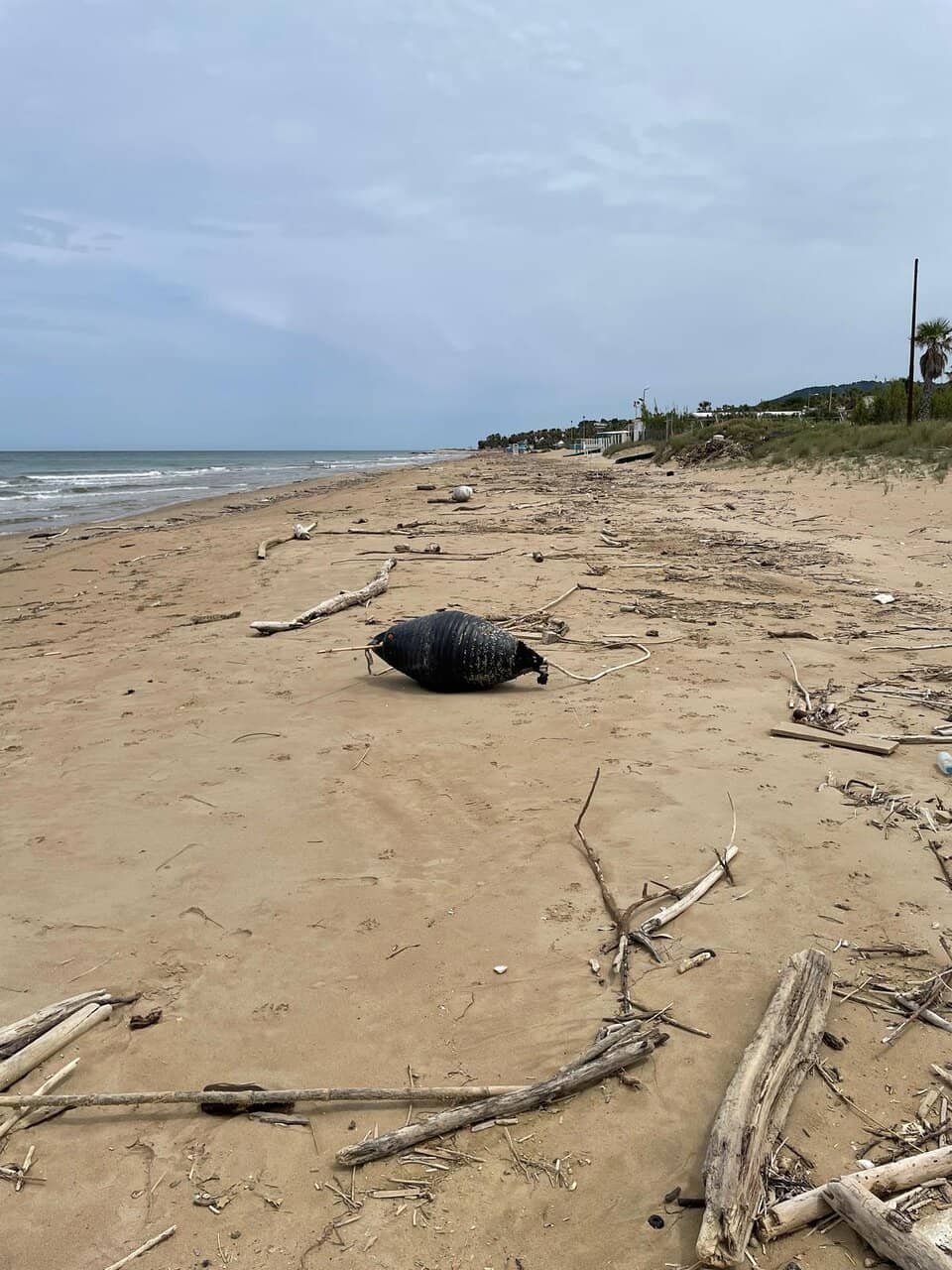 Gargano's Marine Caves and Coves