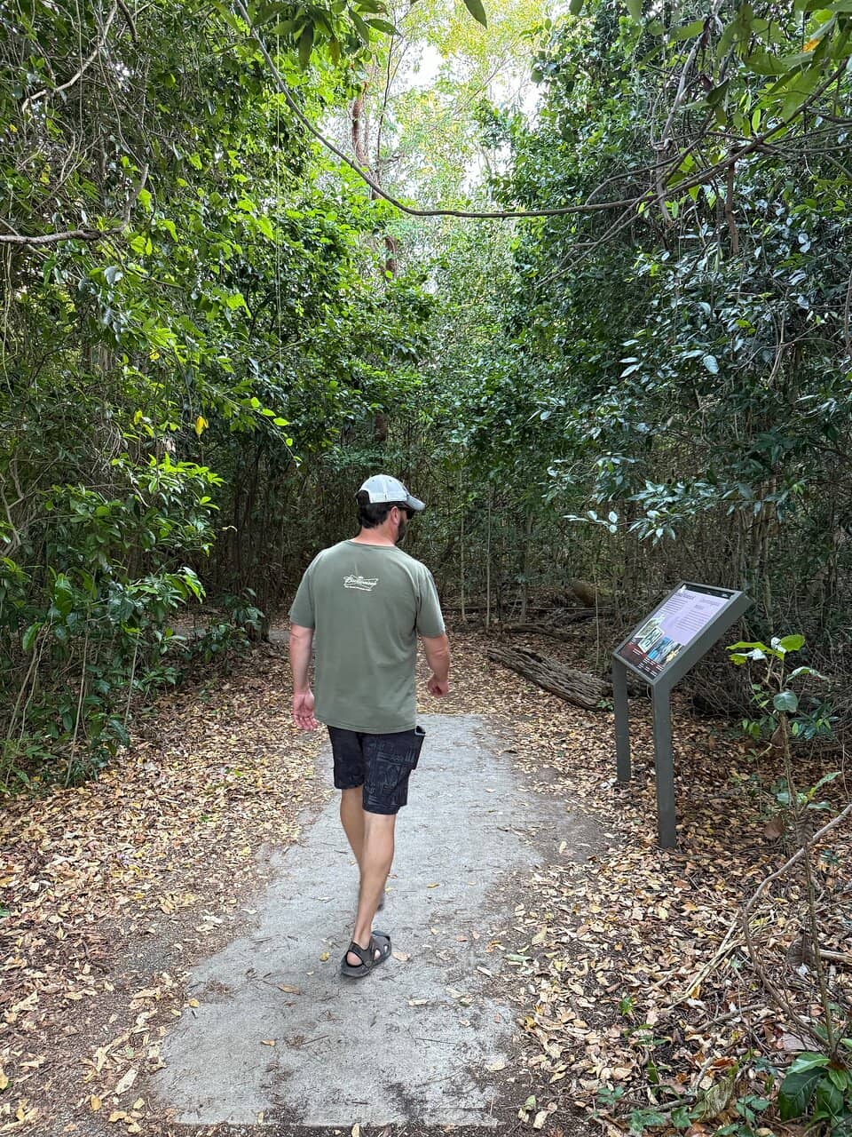 Shaded Hammock Ecosystem