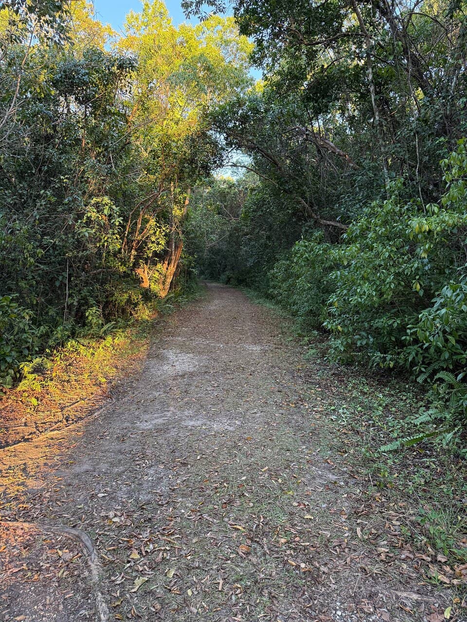 Wildlife Spotting Opportunities