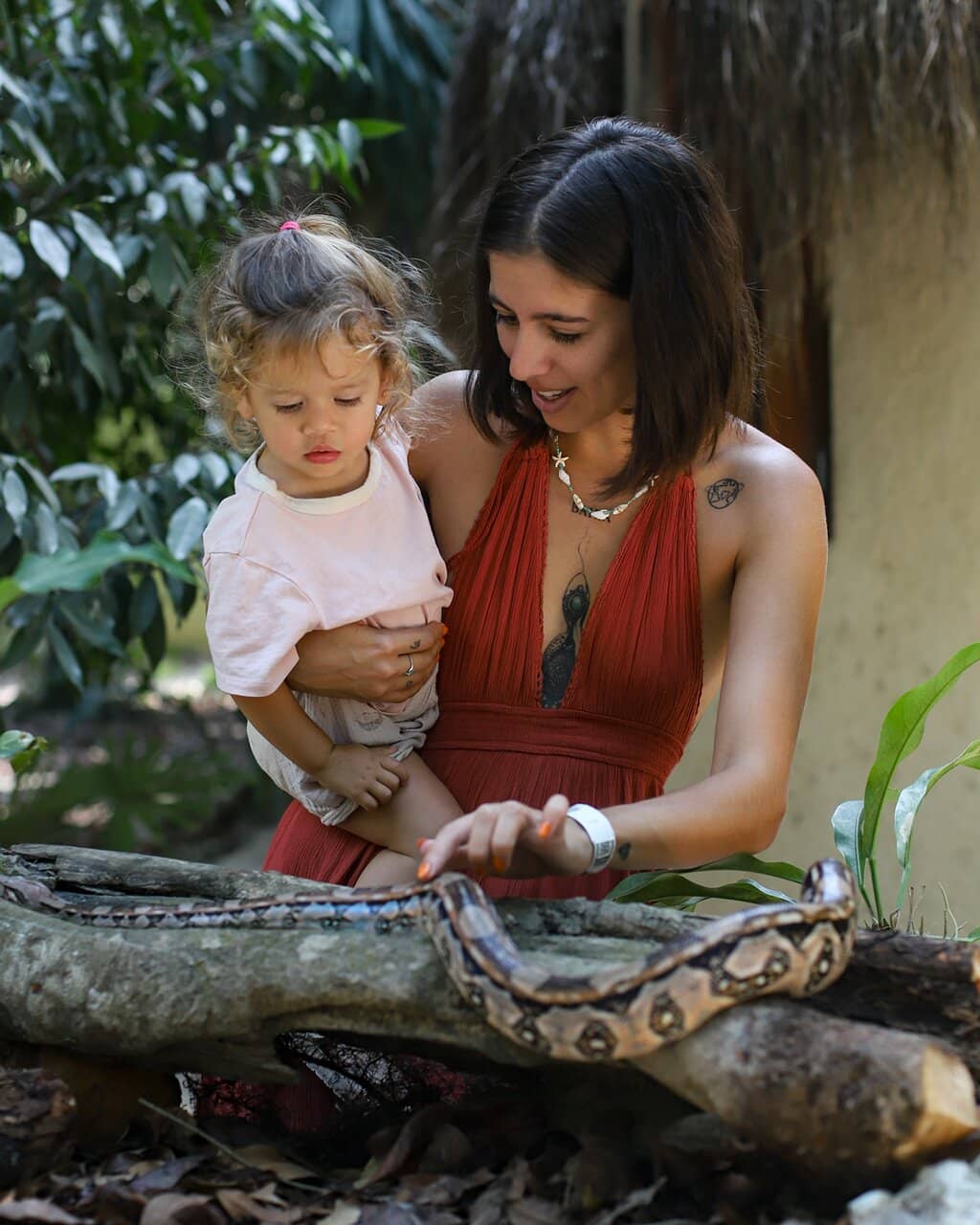 Monkey Encounters