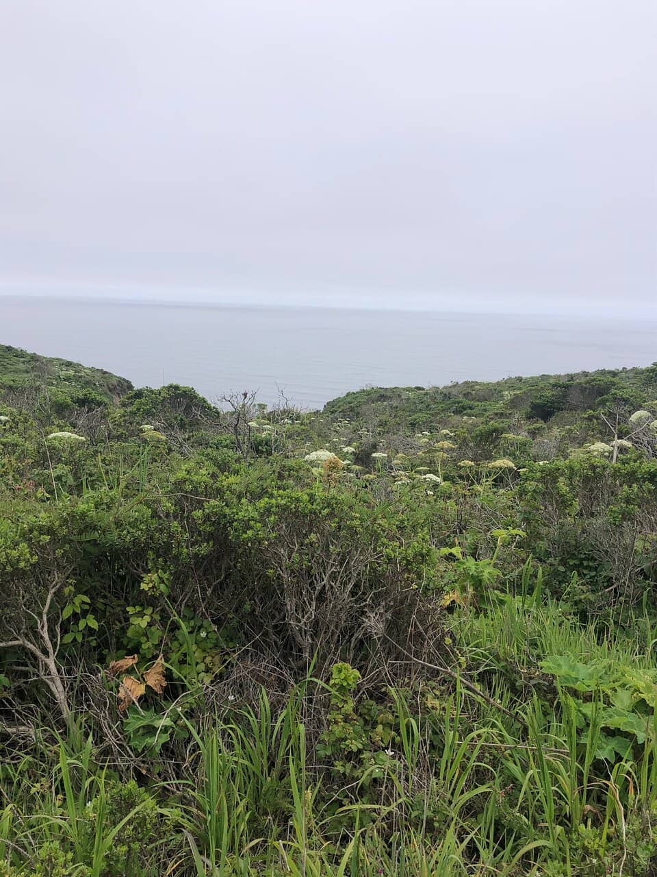Alamere Falls