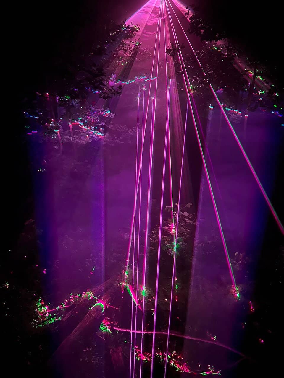 Enchanted Forest Ambiance