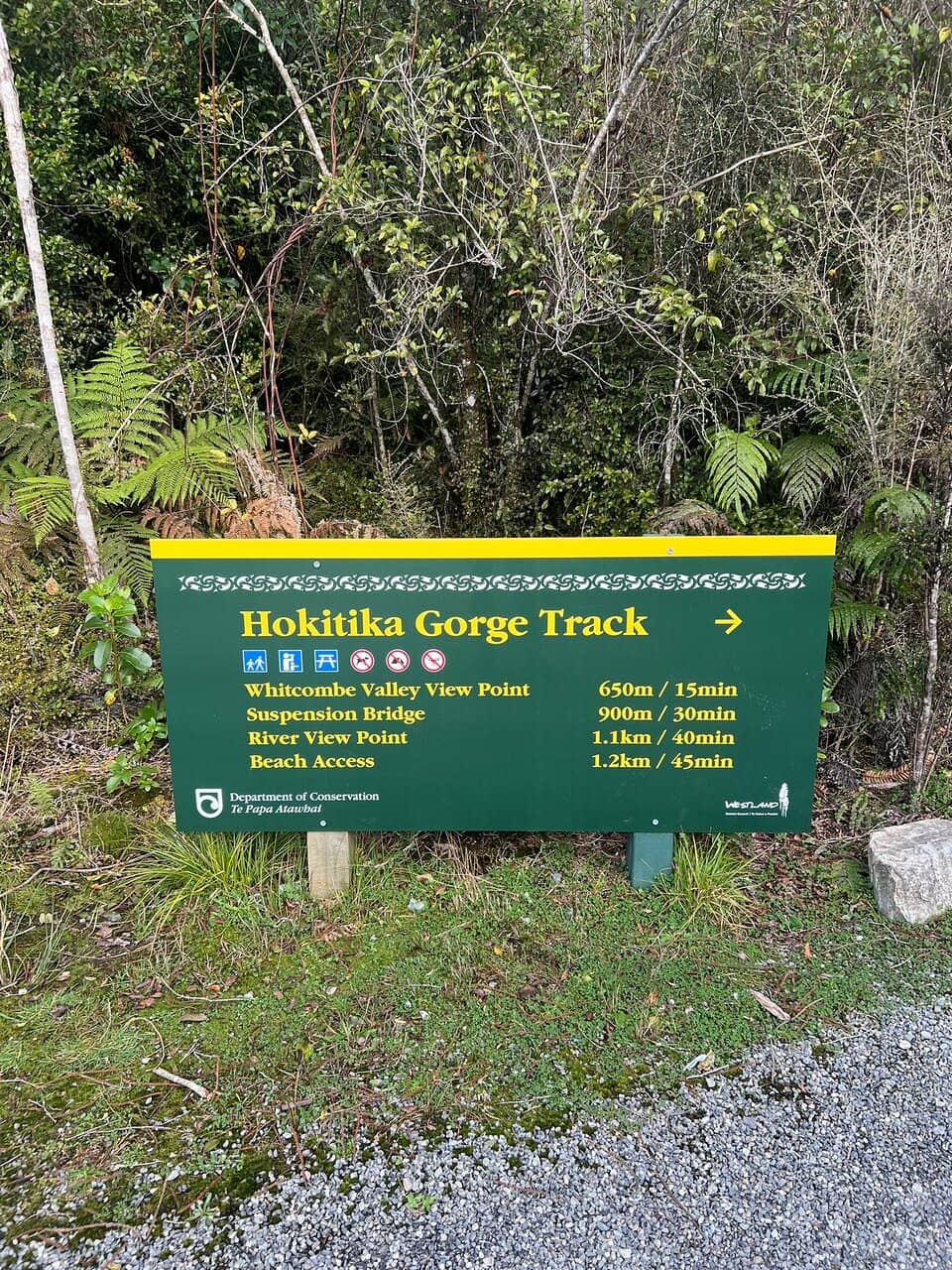 Lush Rainforest Walk