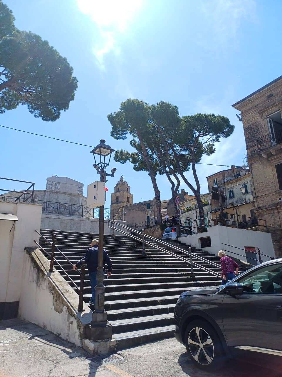 Vertical photo