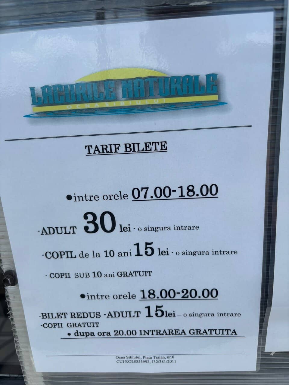 Refreshing Summer Escape